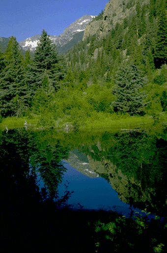Rocky_Mountain-Fern_Lake