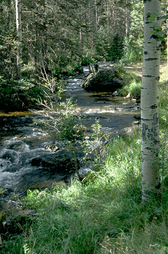 Rocky_Mountain-North_Fork_Area