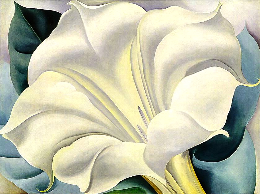 The-White-Flower-1932-Georgia-OKeeffe-1887-1986
