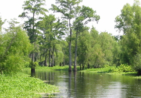 a_atchafalaya2