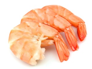 shrimp_webcrop